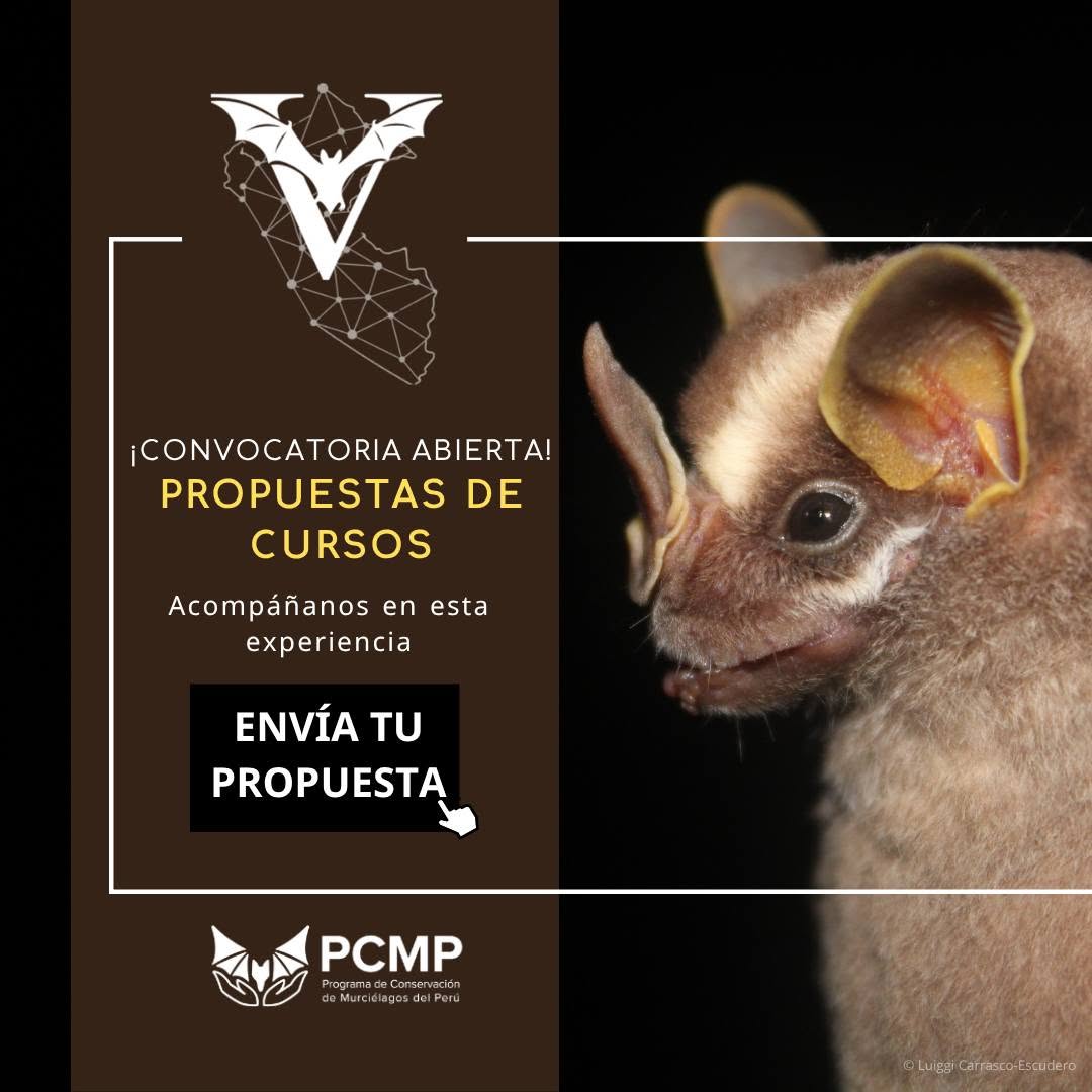 cursos_001