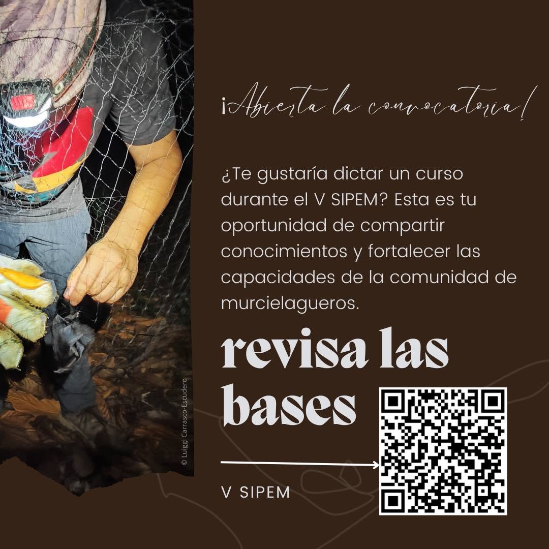 cursos_002